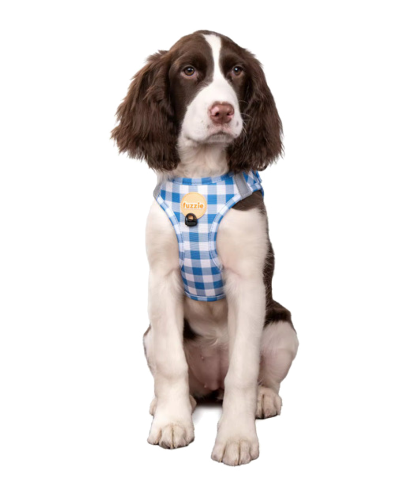 Gingham Blue