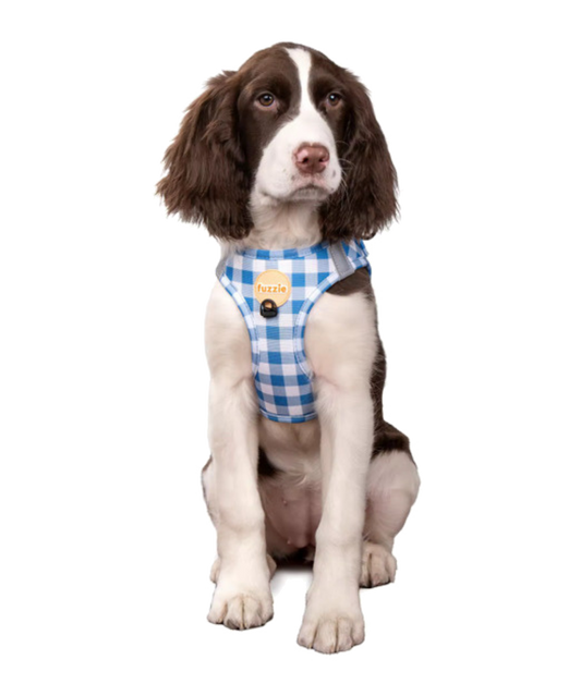 Gingham Blue