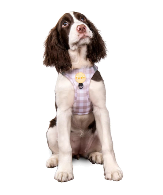 Gingham Latte