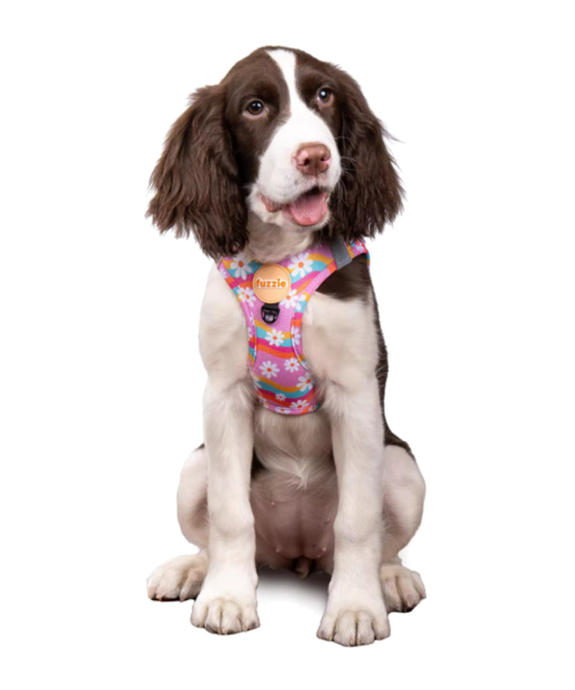 Groovy Daisy