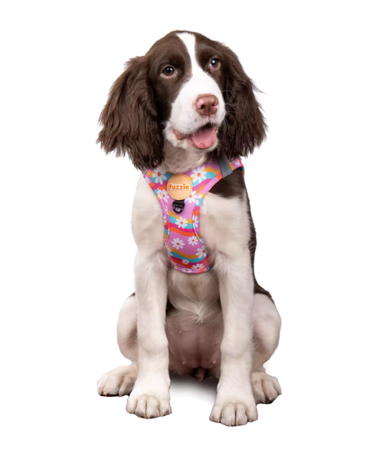 Groovy Daisy